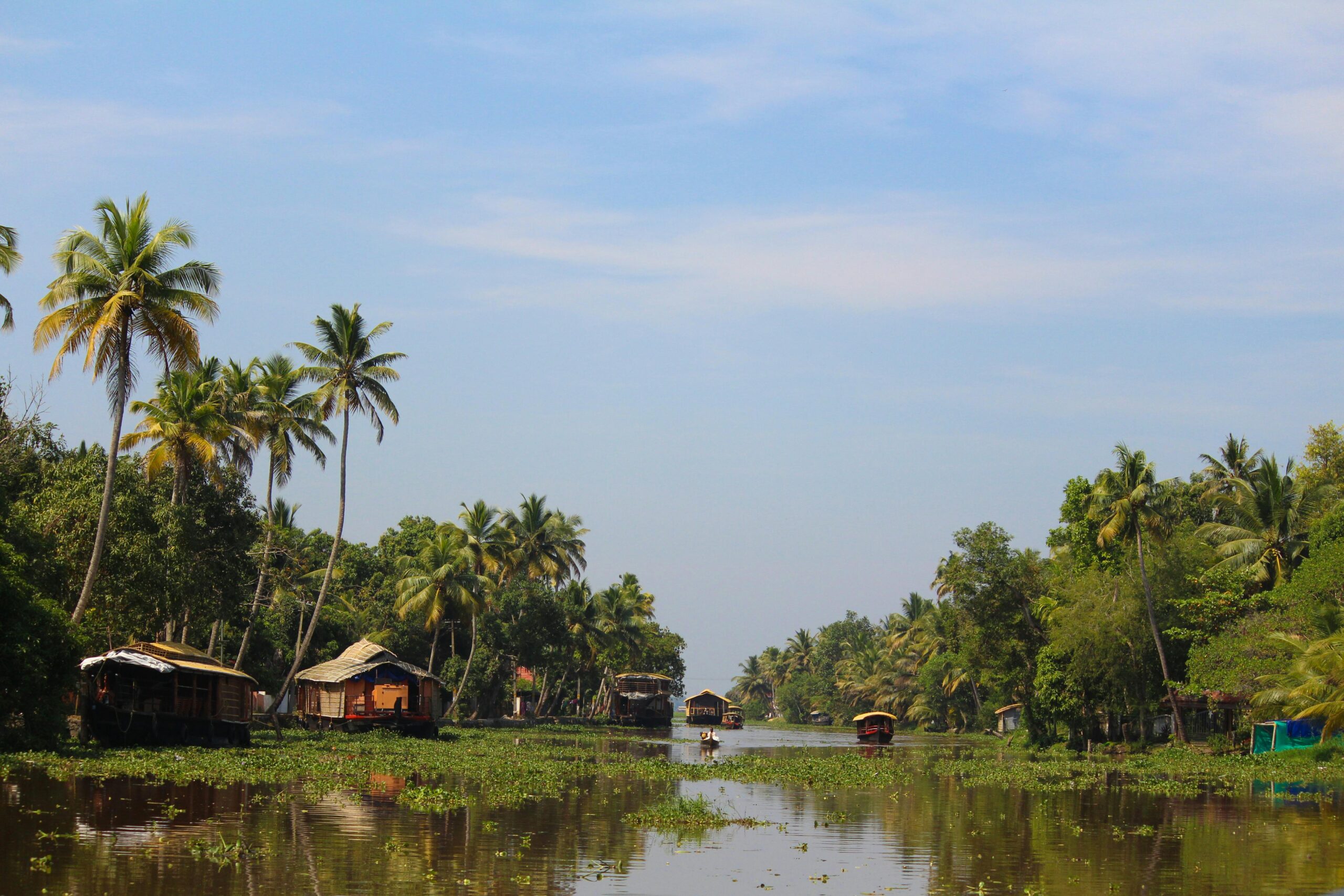 Peaceful view of Kerala backwaters with houseboats, palm trees under clear skies.